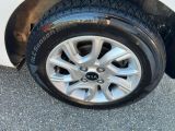 Kia Picanto bei Sportwagen.expert - Abbildung (6 / 15)