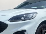 Ford Kuga bei Sportwagen.expert - Abbildung (5 / 14)