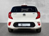 Kia Picanto bei Sportwagen.expert - Abbildung (5 / 15)
