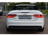 Audi A5 bei Sportwagen.expert - Abbildung (8 / 15)
