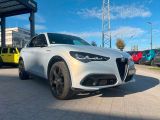 Alfa Romeo Stelvio bei Sportwagen.expert - Abbildung (2 / 11)