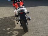 Honda Motorräder bei Sportwagen.expert - Abbildung (9 / 15)