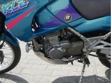 Kawasaki KLE bei Sportwagen.expert - Abbildung (11 / 15)