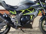 Kawasaki Z 125 bei Sportwagen.expert - Abbildung (6 / 15)