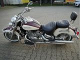 Yamaha 1300 Star bei Sportwagen.expert - Abbildung (14 / 15)