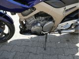 Yamaha TDM 900 bei Sportwagen.expert - Abbildung (13 / 15)