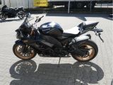 Kawasaki ZX-10R bei Sportwagen.expert - Abbildung (9 / 15)