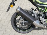 Kawasaki Z 125 bei Sportwagen.expert - Abbildung (9 / 15)