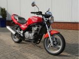 Kawasaki ER-5 bei Sportwagen.expert - Abbildung (4 / 15)