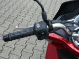 Honda 125 bei Sportwagen.expert - Abbildung (15 / 15)