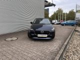 Mazda 2 bei Sportwagen.expert - Abbildung (5 / 15)