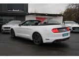 Ford Mustang bei Sportwagen.expert - Abbildung (7 / 15)