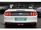 Ford Mustang bei Sportwagen.expert - Abbildung (6 / 15)