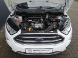 Ford EcoSport bei Sportwagen.expert - Abbildung (11 / 15)