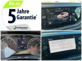 VW Polo bei Sportwagen.expert - Abbildung (13 / 15)