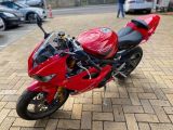 Triumph Daytona bei Sportwagen.expert - Abbildung (3 / 15)