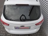 Ford B-MAX bei Sportwagen.expert - Abbildung (9 / 10) Ford B-MAX bei Sportwagen.expert - Abbildung (9 / 10)