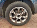 Ford EcoSport bei Sportwagen.expert - Abbildung (14 / 14)