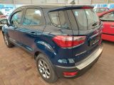 Ford EcoSport bei Sportwagen.expert - Abbildung (4 / 14)