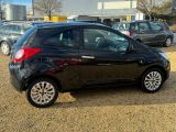 Ford Ka bei Sportwagen.expert - Abbildung (2 / 14)