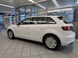 Audi A3 bei Sportwagen.expert - Abbildung (14 / 15)