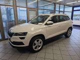 Skoda Karoq bei Sportwagen.expert - Abbildung (2 / 15)