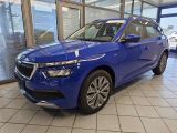 Skoda Kamiq bei Sportwagen.expert - Abbildung (2 / 15)