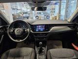 Skoda Kamiq bei Sportwagen.expert - Abbildung (7 / 15)