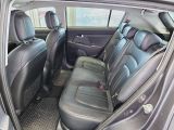 Kia Sportage bei Sportwagen.expert - Abbildung (6 / 15)