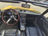 Alfa Romeo Spider bei Sportwagen.expert - Abbildung (3 / 15)