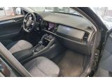 Skoda Kodiaq bei Sportwagen.expert - Abbildung (8 / 15)