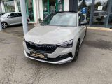 Skoda Scala bei Sportwagen.expert - Abbildung (3 / 15)