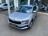 Skoda Karoq bei Sportwagen.expert - Abbildung (4 / 15)