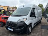 Opel Movano bei Sportwagen.expert - Abbildung (2 / 11)
