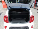 Kia Picanto bei Sportwagen.expert - Abbildung (11 / 13)