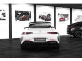 Mercedes-Benz GT-Klasse bei Sportwagen.expert - Abbildung (9 / 15)