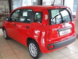 Fiat Panda bei Sportwagen.expert - Abbildung (3 / 7)