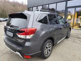 Subaru Forester bei Sportwagen.expert - Abbildung (4 / 15)
