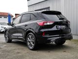 Ford Kuga bei Sportwagen.expert - Abbildung (3 / 15)