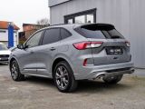 Ford Kuga bei Sportwagen.expert - Abbildung (3 / 15)