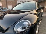 VW New Beetle bei Sportwagen.expert - Abbildung (3 / 15)
