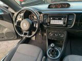 VW New Beetle bei Sportwagen.expert - Abbildung (9 / 15)