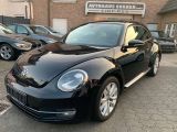 VW New Beetle bei Sportwagen.expert - Abbildung (15 / 15)
