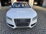 Audi S5 bei Sportwagen.expert - Abbildung (6 / 15)