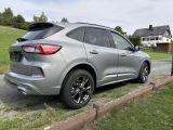 Ford Kuga bei Sportwagen.expert - Abbildung (2 / 15)