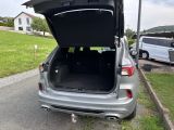 Ford Kuga bei Sportwagen.expert - Abbildung (6 / 15)
