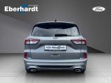 Ford Kuga bei Sportwagen.expert - Abbildung (4 / 13)