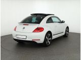 VW Beetle bei Sportwagen.expert - Abbildung (5 / 15)