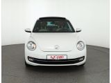 VW Beetle bei Sportwagen.expert - Abbildung (8 / 15)