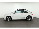 VW Beetle bei Sportwagen.expert - Abbildung (2 / 15)